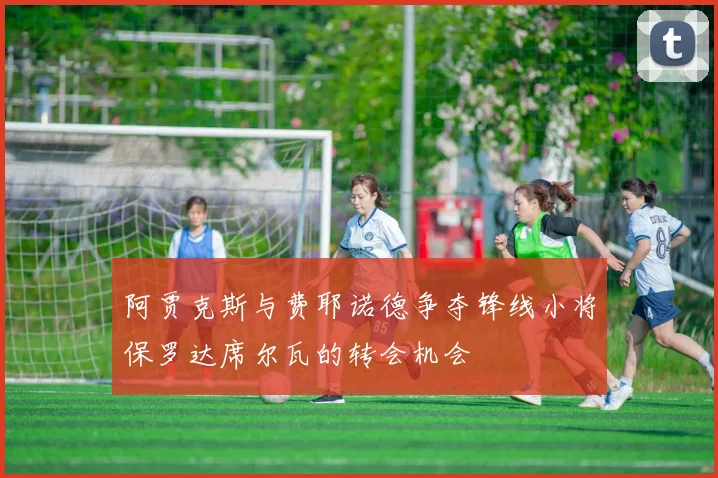 阿贾克斯与费耶诺德争夺锋线小将保罗达席尔瓦的转会机会